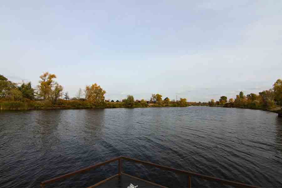 srub-20